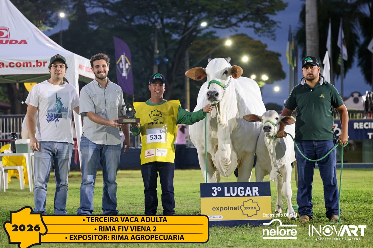 Rima FIV Viena 2, Terceira Melhor Vaca Adulta da Expoinel Nacional 2026