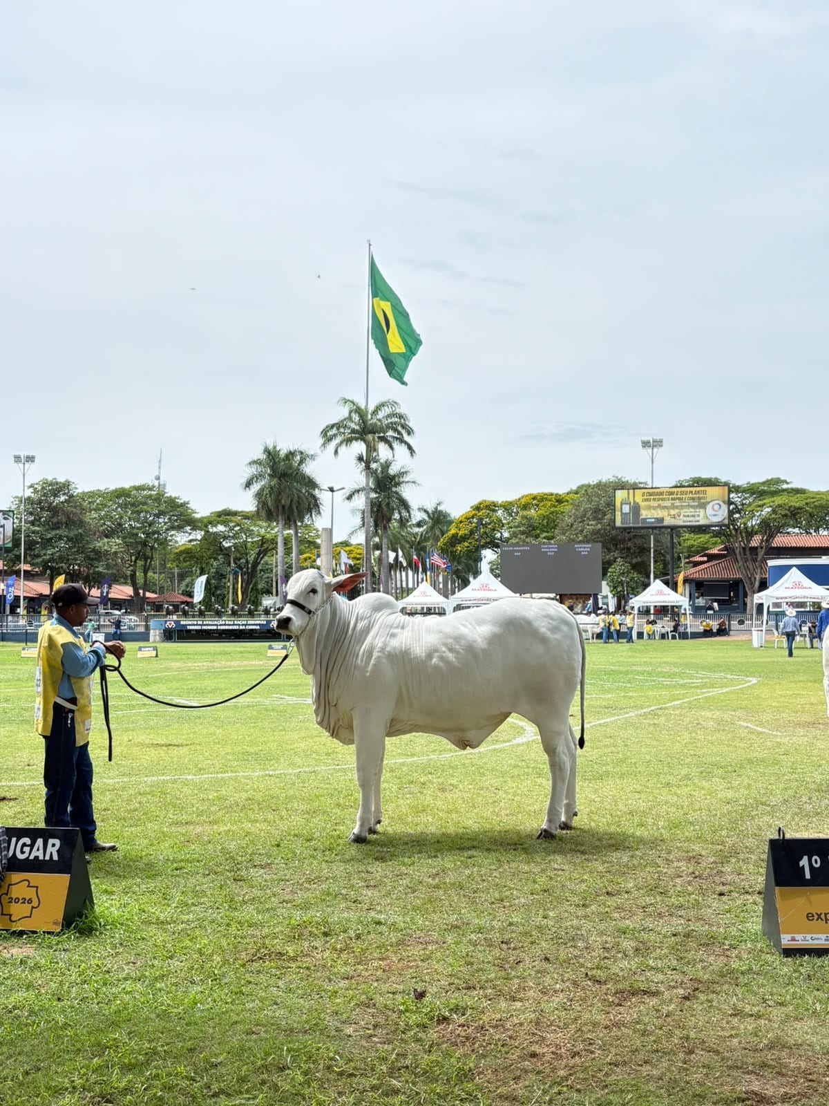 Alice FIV do Roda Branca na pista da 55ª Expoinel Nacional, em Uberaba