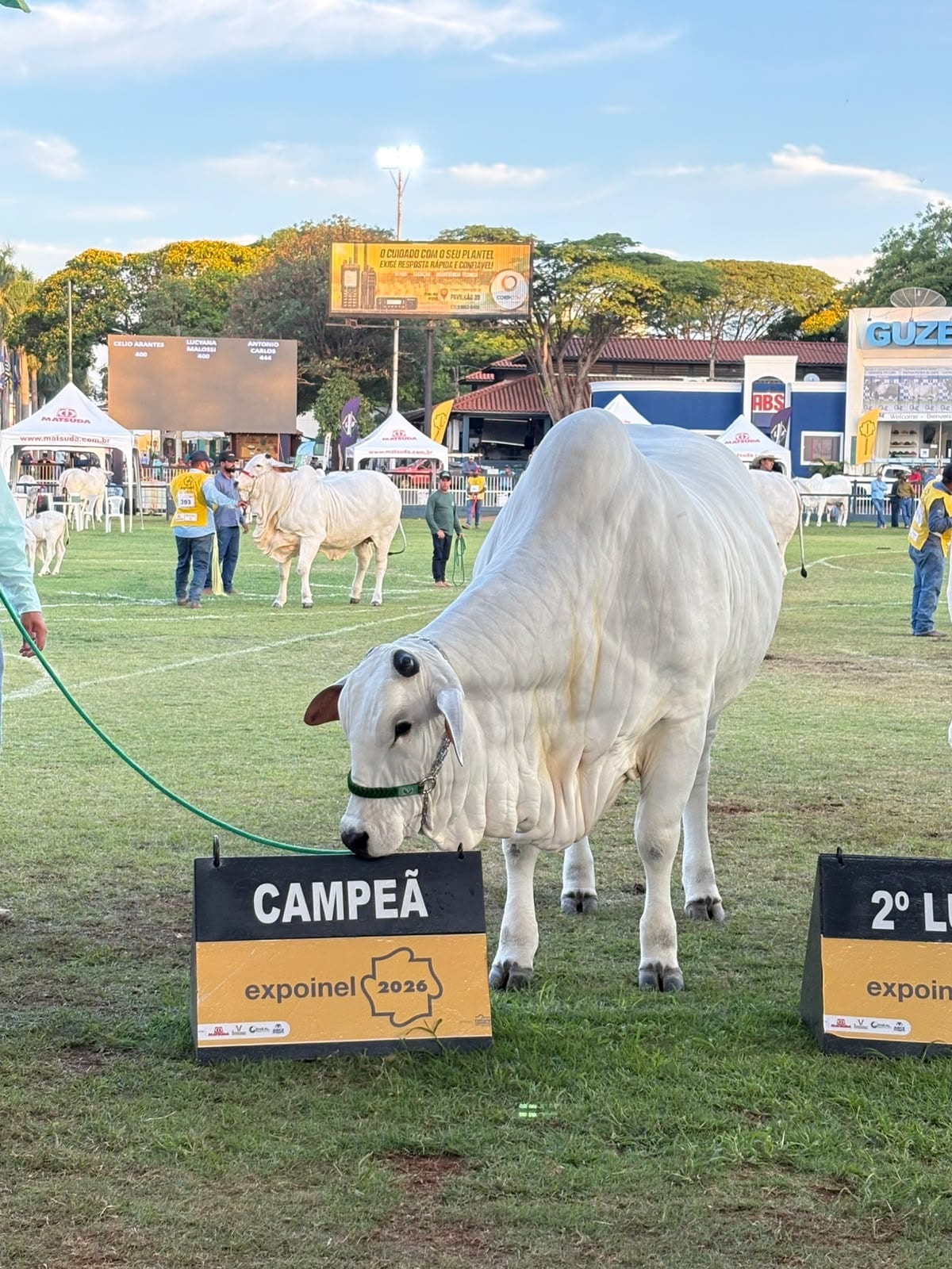 Kassandra GLDJ na pista da 55ª Expoinel Nacional, em Uberaba