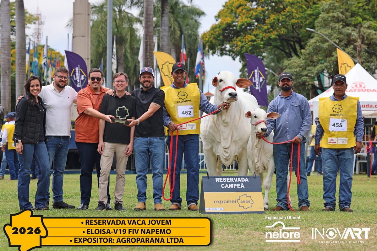 Eloisa-V19 FIV Napemo, Reservada Campeã Vaca Jovem da Expoinel Nacional 2026