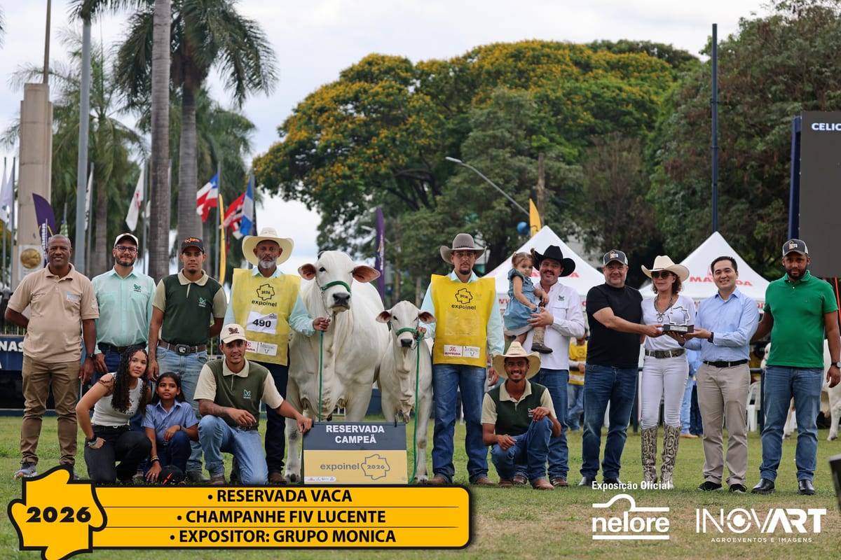 Champanhe FIV Lucente, Reservada Campeã Vaca da Expoinel Nacional 2026