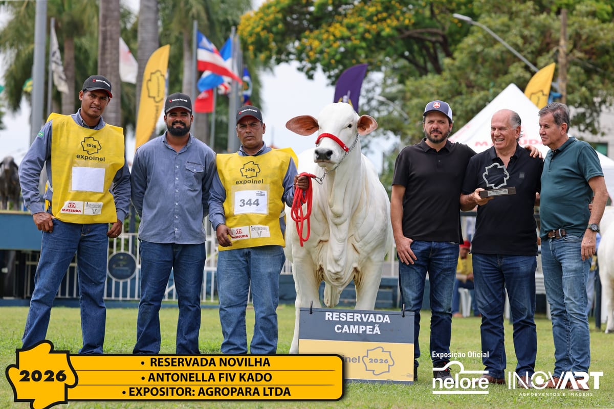 Antonella FIV Kado, Reservada Campeã Novilha da Expoinel Nacional 2026