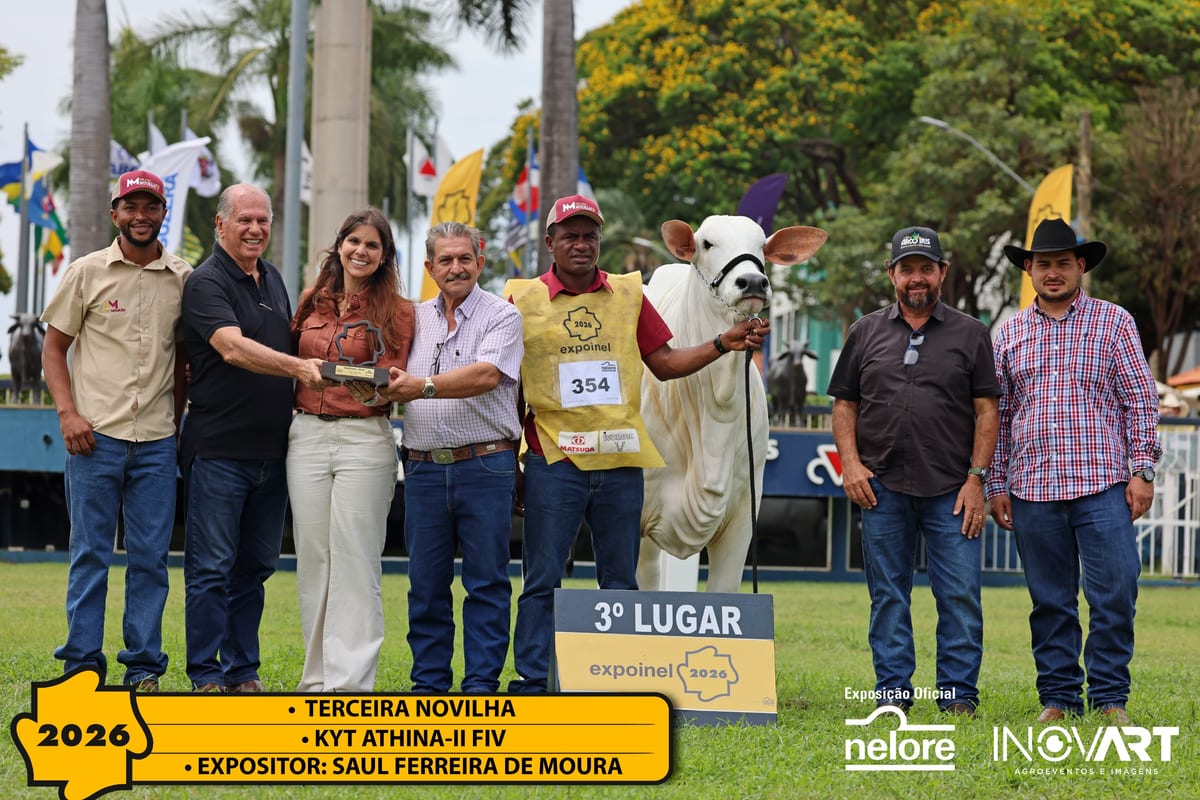 KYT Athina-II FIV, Terceira Melhor Novilha da Expoinel Nacional 2026