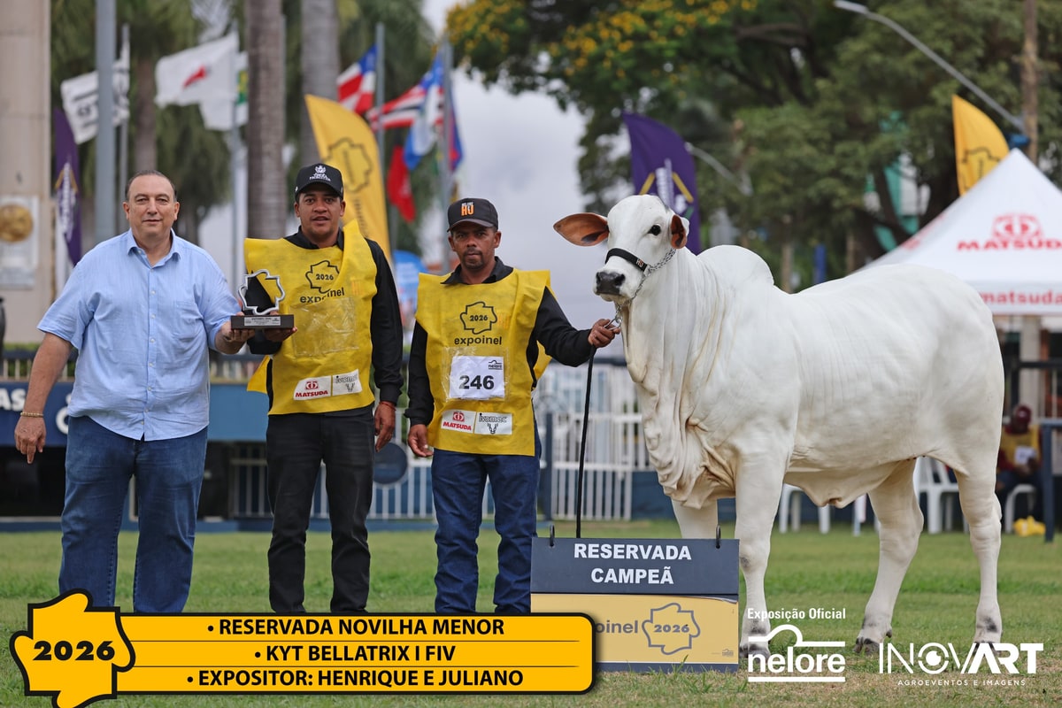 Kyt Bellatrix I FIV, Reservada Campeã Novilha Menor