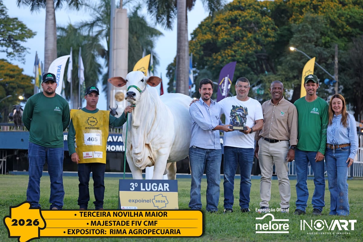 Majestade FIV CMF, Terceira Melhor Novilha Maior da Expoinel Nacional 2026