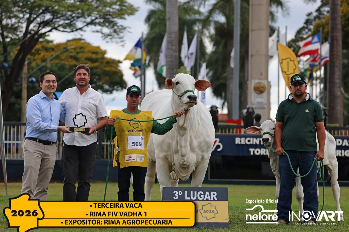 Rima FIV Vadha 1, Terceira Melhor Vaca da Expoinel Nacional 2026