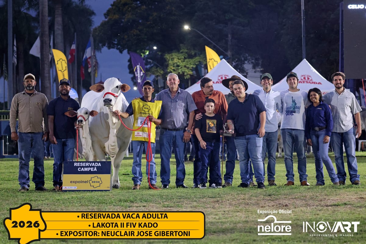 Lakota II FIV Kado, Reservada Campeã Vaca Adulta da Expoinel Nacional 2026